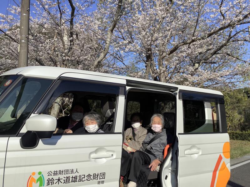 �f�C�@���Ԍ��̗l�q