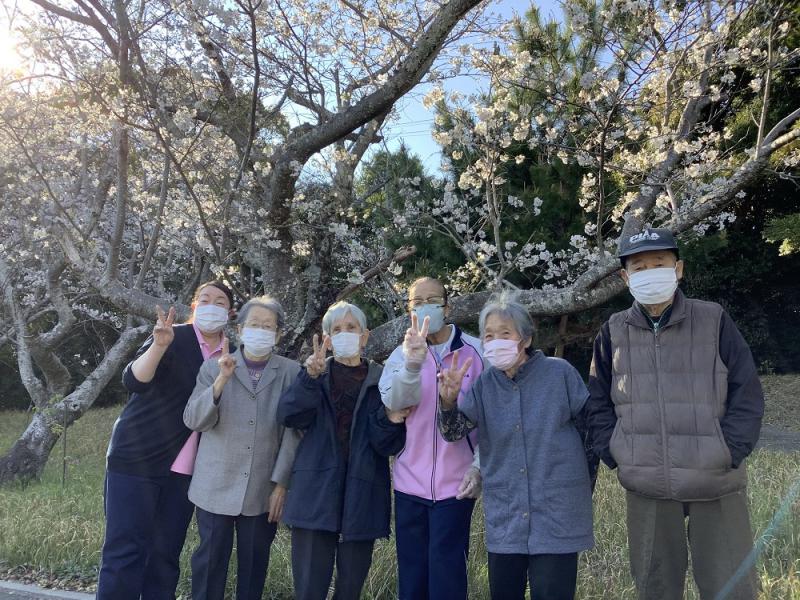 �f�C�@���Ԍ��̗l�q